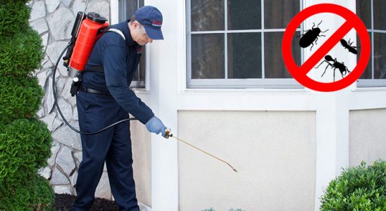 Hayrat Dezenfeksiyon böcek ilaçlama ve haşere kontrolü — ilaclama-tr.com